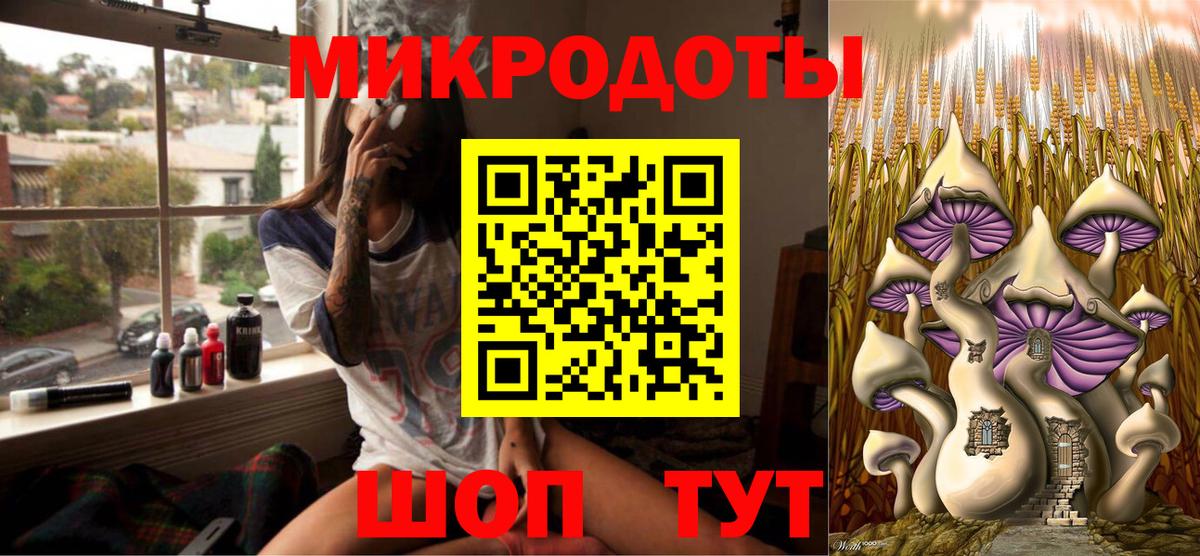 Галлюциногенные грибы Psilocybine cubensis Брянск
