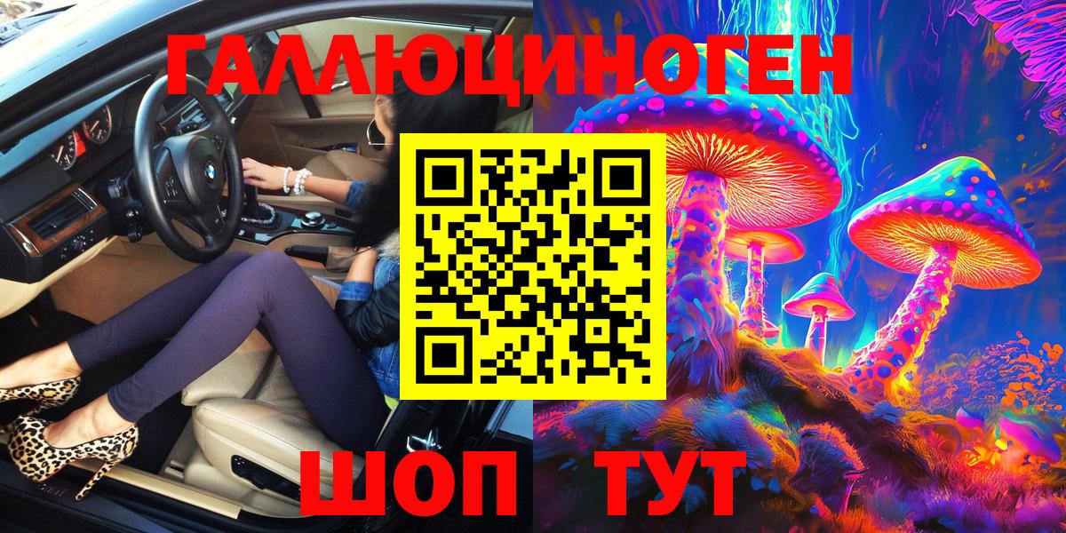 Псилоцибиновые грибы GOLDEN TEACHER  наркота  Брянск  Вход с VPN  Галлюциногенные грибы Psilocybe 